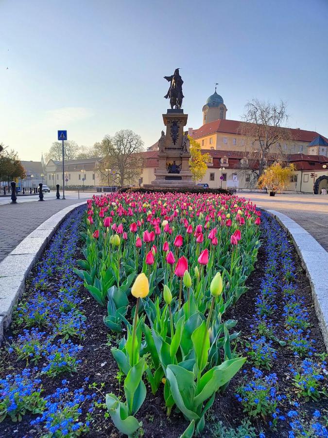 Homestay Podebrady Luaran gambar