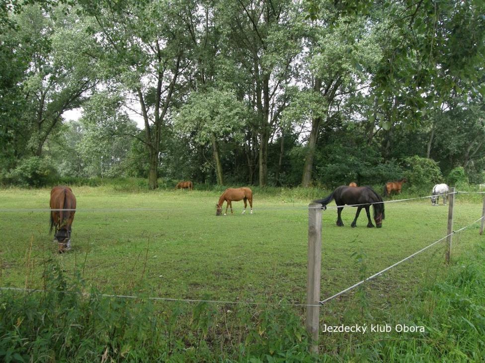 Homestay Podebrady Luaran gambar